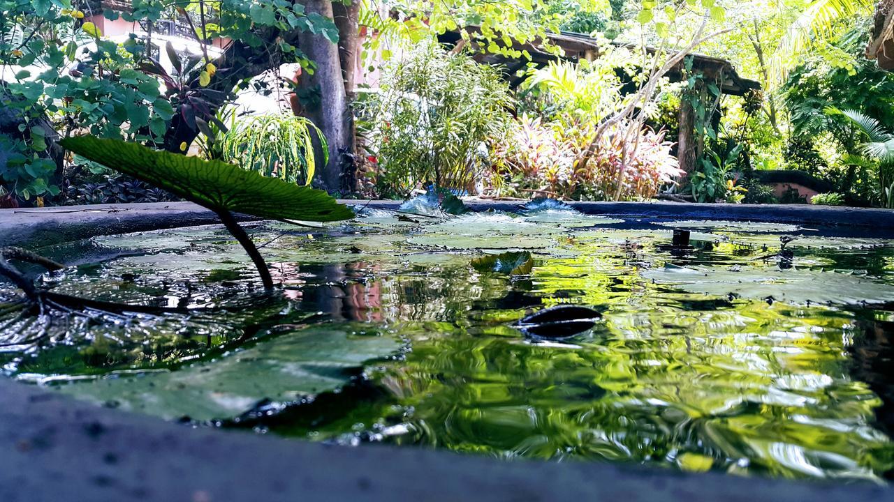 Casa Hotel Mare Nostrvm Manuel Antonio Buitenkant foto